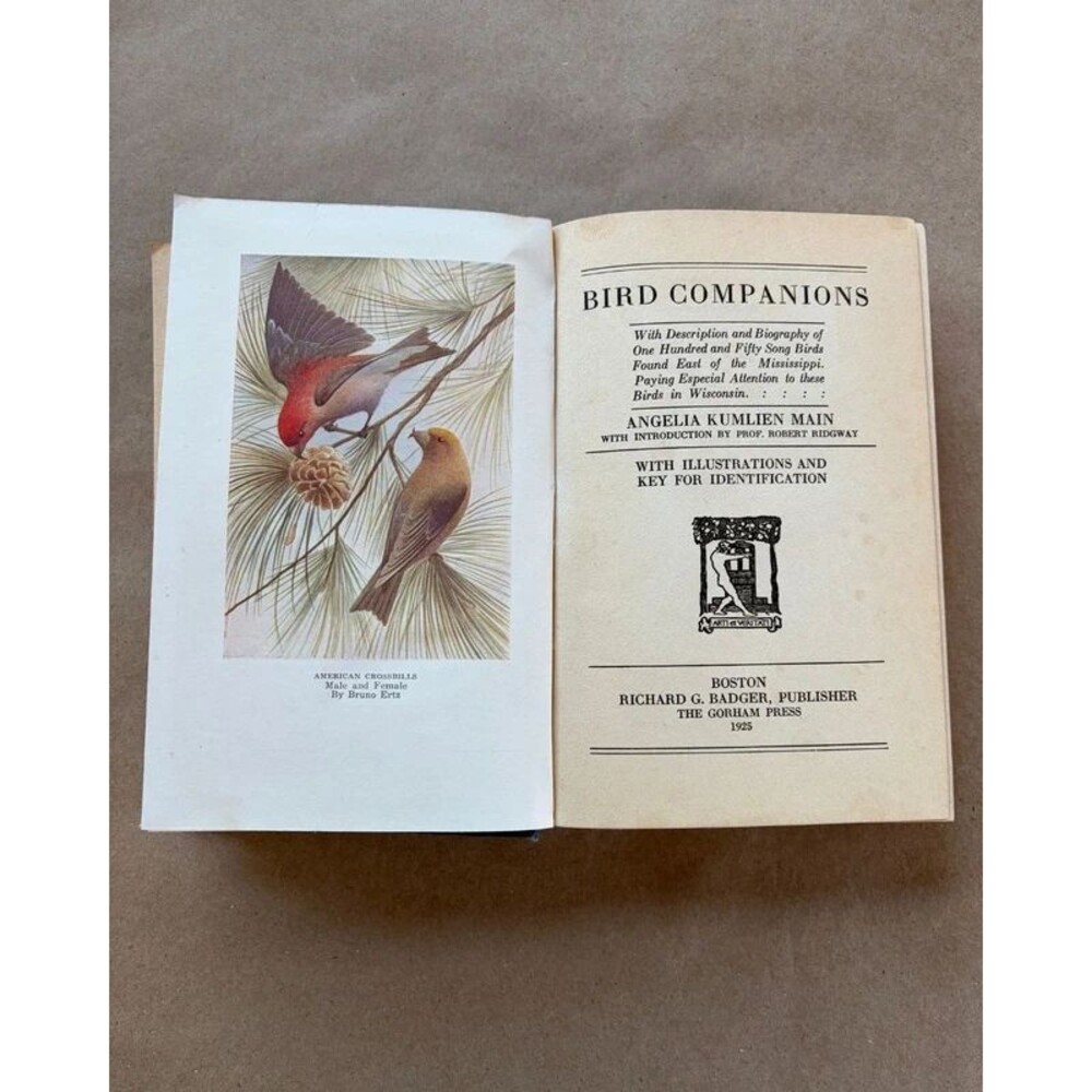 Antique Bird Companions Angelia Kumlien Main Gorham Press Ornithology HC